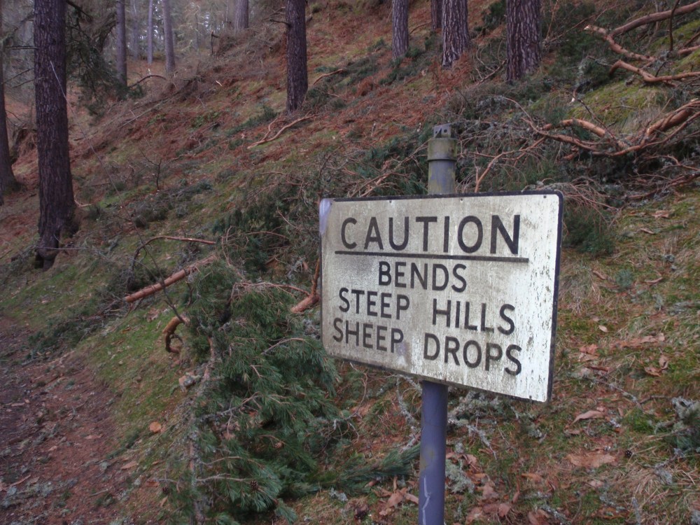 A warning...before I'd even parked the car