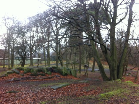 Corstorphine Hill